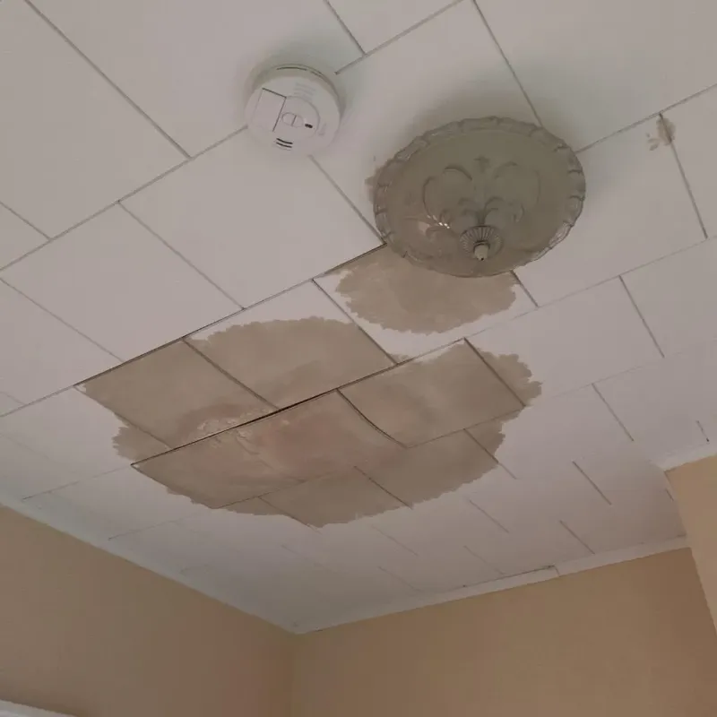 Ceiling Water Damage Repair in Riverside County, CA